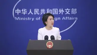 巴西对战荷兰