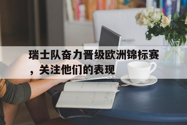 瑞士队欧洲杯预选赛战绩